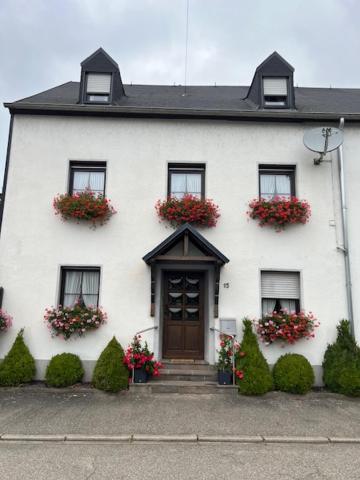 Gaestehaus Elisabeth Bach Apartament Mehring (Rhineland-Palatinate)