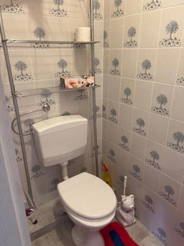 Apartment Gaestehaus Elisabeth Bach Mehring (Rhineland-Palatinate)